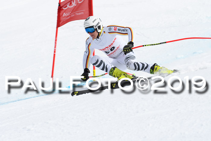 FIS, Int. Dt. Meisterschaft Abfahrt, Training, Damen + Herren, 19.03.2019