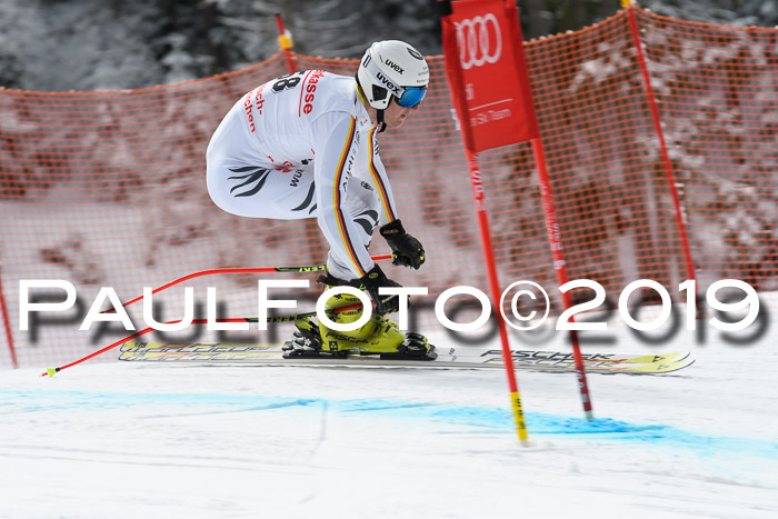 FIS, Int. Dt. Meisterschaft Abfahrt, Training, Damen + Herren, 19.03.2019