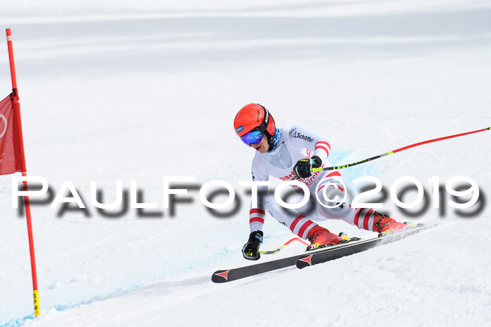 FIS, Int. Dt. Meisterschaft Abfahrt, Training, Damen + Herren, 19.03.2019