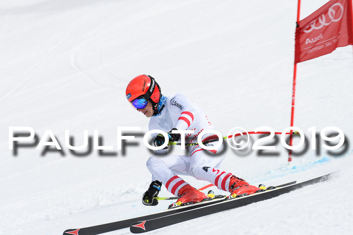 FIS, Int. Dt. Meisterschaft Abfahrt, Training, Damen + Herren, 19.03.2019