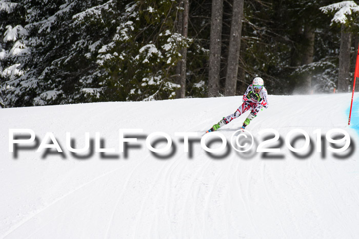 FIS, Int. Dt. Meisterschaft Abfahrt, Training, Damen + Herren, 19.03.2019