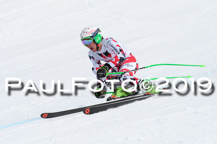 FIS, Int. Dt. Meisterschaft Abfahrt, Training, Damen + Herren, 19.03.2019