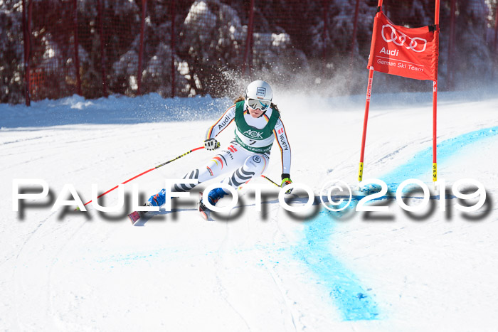 FIS, Int. Dt. Meisterschaft Abfahrt, Damen + Herren, 20.03.2019