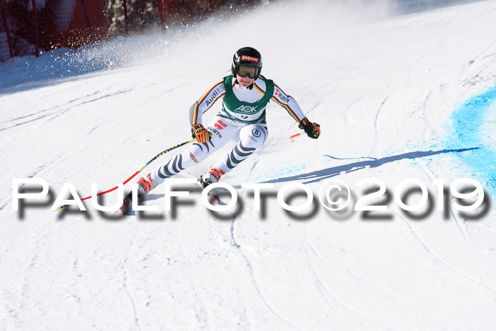 FIS, Int. Dt. Meisterschaft Abfahrt, Damen + Herren, 20.03.2019