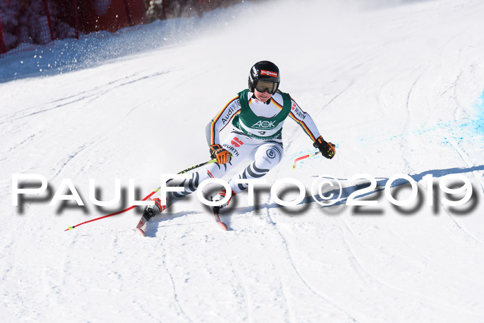 FIS, Int. Dt. Meisterschaft Abfahrt, Damen + Herren, 20.03.2019