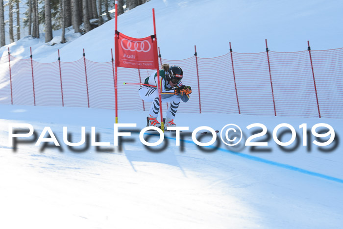 FIS, Int. Dt. Meisterschaft Abfahrt, Damen + Herren, 20.03.2019