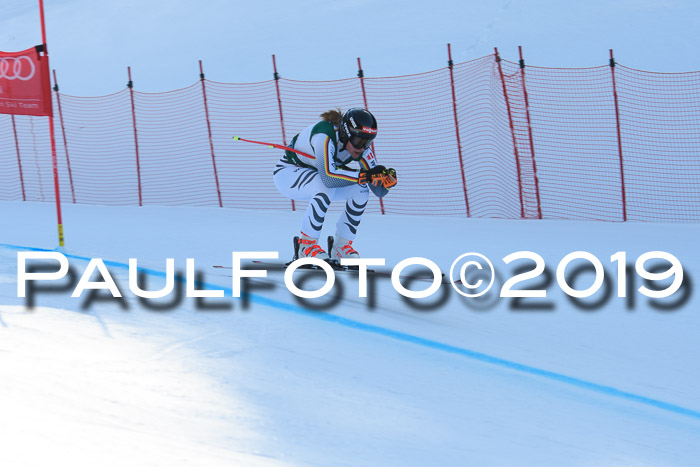FIS, Int. Dt. Meisterschaft Abfahrt, Damen + Herren, 20.03.2019