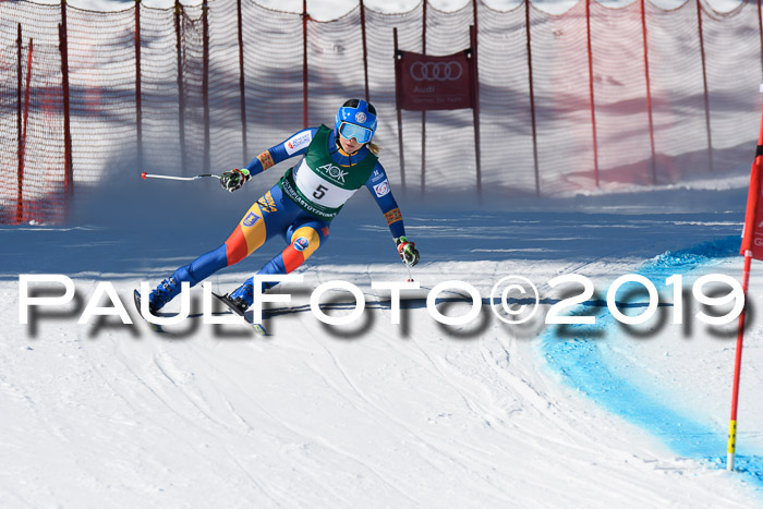 FIS, Int. Dt. Meisterschaft Abfahrt, Damen + Herren, 20.03.2019
