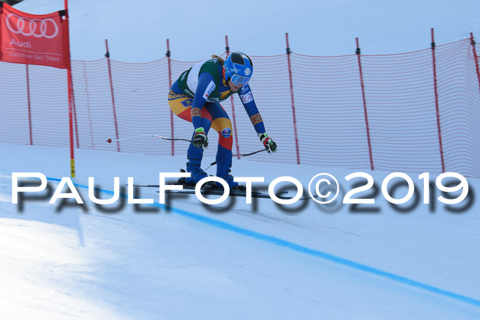 FIS, Int. Dt. Meisterschaft Abfahrt, Damen + Herren, 20.03.2019