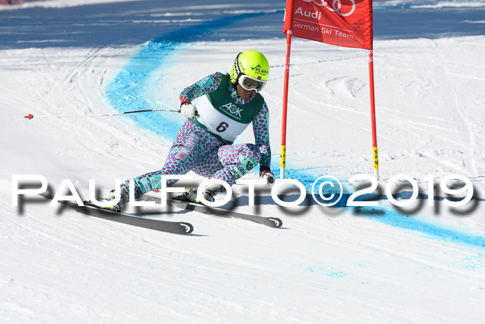 FIS, Int. Dt. Meisterschaft Abfahrt, Damen + Herren, 20.03.2019
