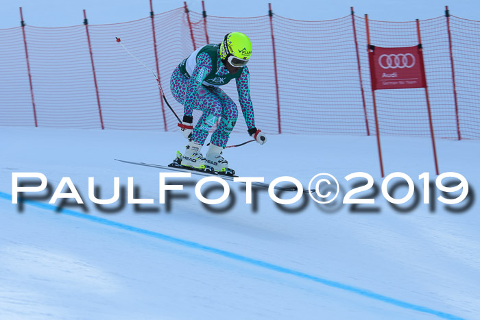 FIS, Int. Dt. Meisterschaft Abfahrt, Damen + Herren, 20.03.2019