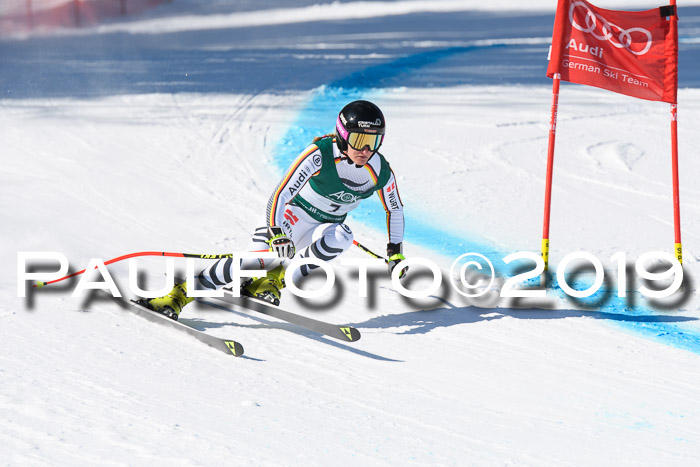 FIS, Int. Dt. Meisterschaft Abfahrt, Damen + Herren, 20.03.2019