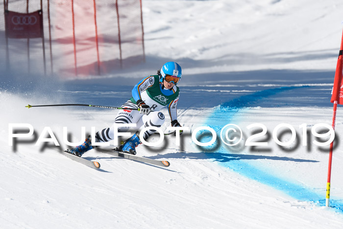 FIS, Int. Dt. Meisterschaft Abfahrt, Damen + Herren, 20.03.2019
