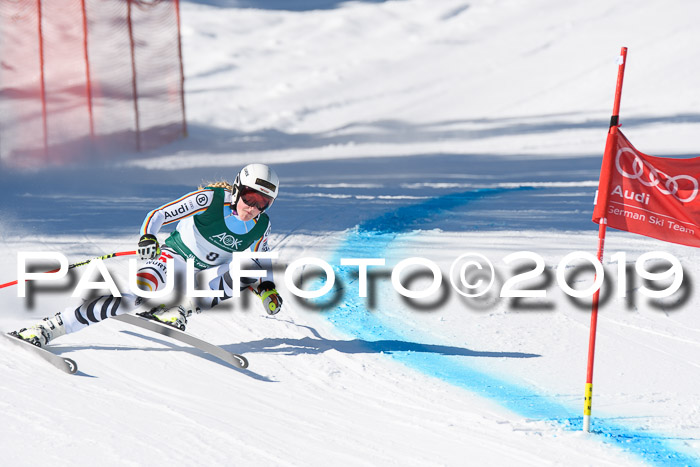 FIS, Int. Dt. Meisterschaft Abfahrt, Damen + Herren, 20.03.2019