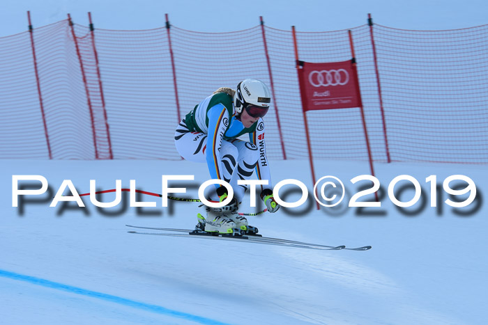 FIS, Int. Dt. Meisterschaft Abfahrt, Damen + Herren, 20.03.2019