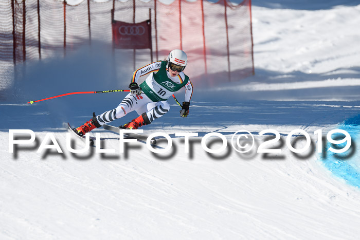 FIS, Int. Dt. Meisterschaft Abfahrt, Damen + Herren, 20.03.2019
