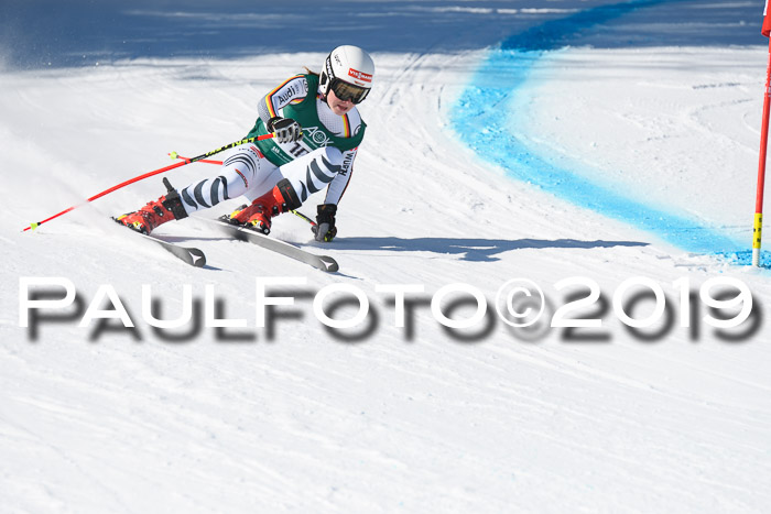 FIS, Int. Dt. Meisterschaft Abfahrt, Damen + Herren, 20.03.2019