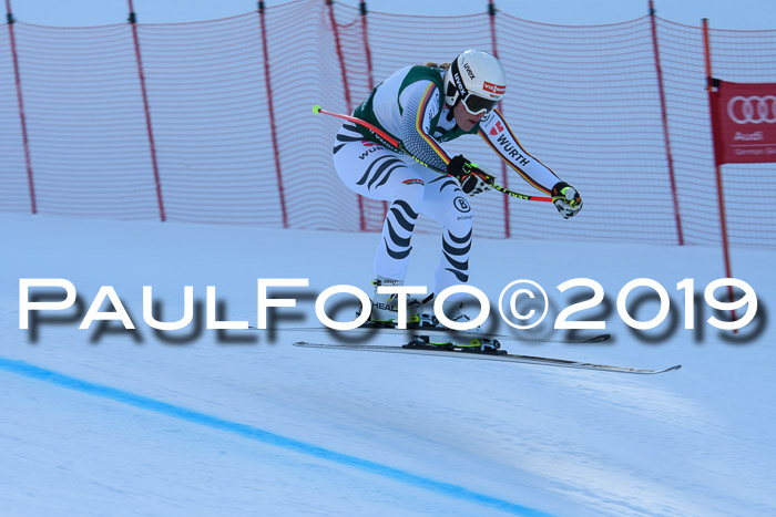 FIS, Int. Dt. Meisterschaft Abfahrt, Damen + Herren, 20.03.2019