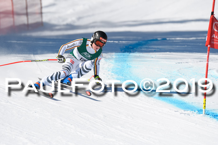 FIS, Int. Dt. Meisterschaft Abfahrt, Damen + Herren, 20.03.2019