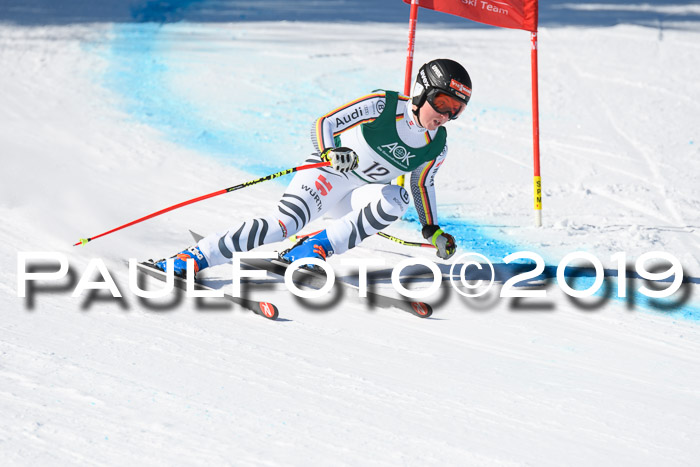 FIS, Int. Dt. Meisterschaft Abfahrt, Damen + Herren, 20.03.2019