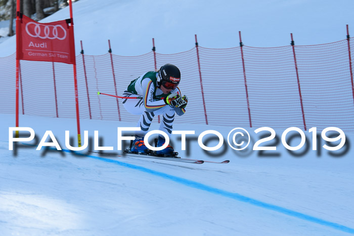 FIS, Int. Dt. Meisterschaft Abfahrt, Damen + Herren, 20.03.2019
