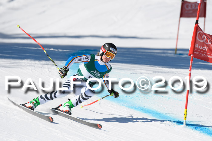 FIS, Int. Dt. Meisterschaft Abfahrt, Damen + Herren, 20.03.2019