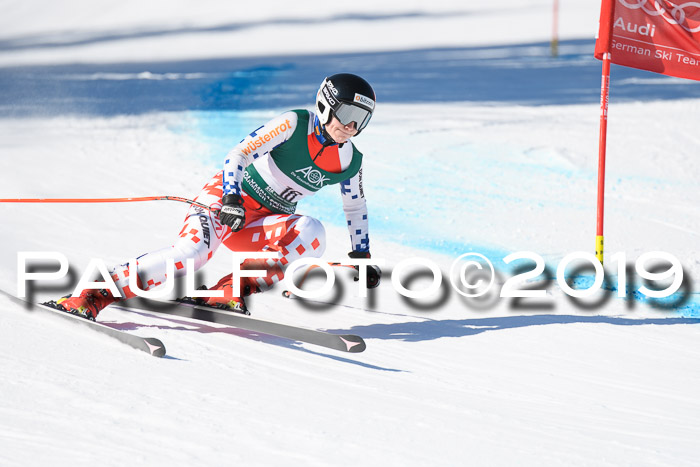 FIS, Int. Dt. Meisterschaft Abfahrt, Damen + Herren, 20.03.2019