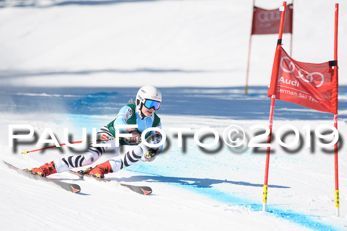 FIS, Int. Dt. Meisterschaft Abfahrt, Damen + Herren, 20.03.2019