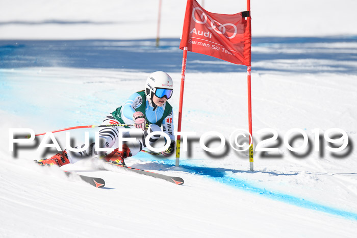 FIS, Int. Dt. Meisterschaft Abfahrt, Damen + Herren, 20.03.2019