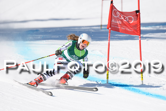 FIS, Int. Dt. Meisterschaft Abfahrt, Damen + Herren, 20.03.2019