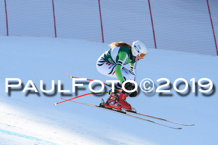 FIS, Int. Dt. Meisterschaft Abfahrt, Damen + Herren, 20.03.2019