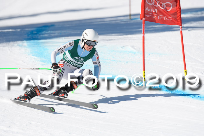 FIS, Int. Dt. Meisterschaft Abfahrt, Damen + Herren, 20.03.2019