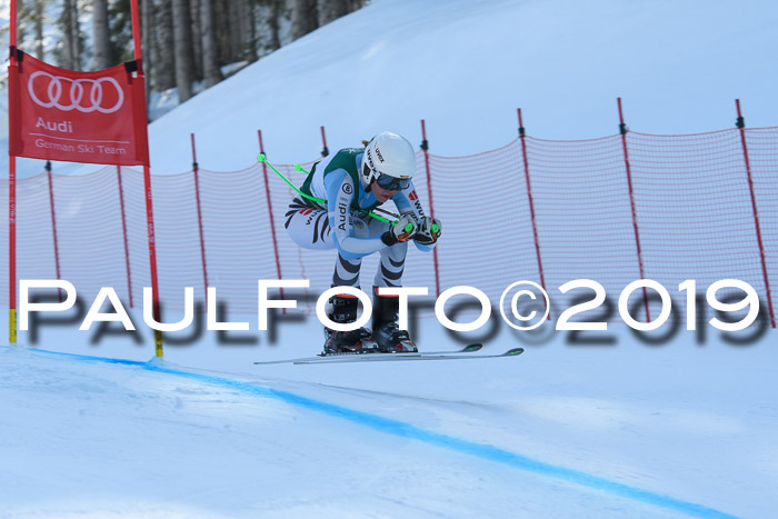 FIS, Int. Dt. Meisterschaft Abfahrt, Damen + Herren, 20.03.2019