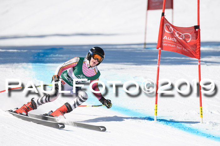 FIS, Int. Dt. Meisterschaft Abfahrt, Damen + Herren, 20.03.2019