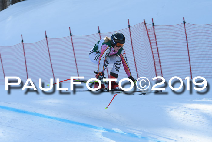 FIS, Int. Dt. Meisterschaft Abfahrt, Damen + Herren, 20.03.2019