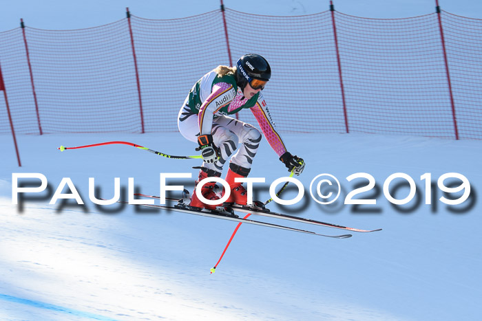 FIS, Int. Dt. Meisterschaft Abfahrt, Damen + Herren, 20.03.2019
