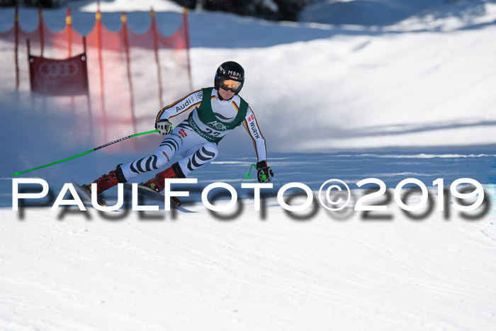 FIS, Int. Dt. Meisterschaft Abfahrt, Damen + Herren, 20.03.2019