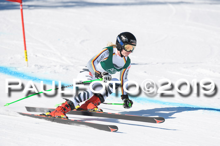 FIS, Int. Dt. Meisterschaft Abfahrt, Damen + Herren, 20.03.2019