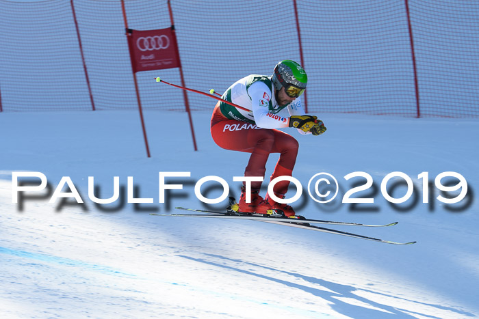 FIS, Int. Dt. Meisterschaft Abfahrt, Damen + Herren, 20.03.2019