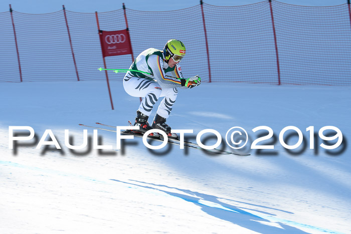 FIS, Int. Dt. Meisterschaft Abfahrt, Damen + Herren, 20.03.2019