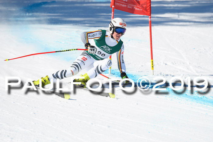 FIS, Int. Dt. Meisterschaft Abfahrt, Damen + Herren, 20.03.2019