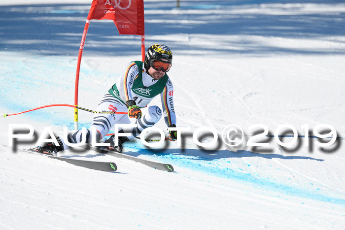 FIS, Int. Dt. Meisterschaft Abfahrt, Damen + Herren, 20.03.2019