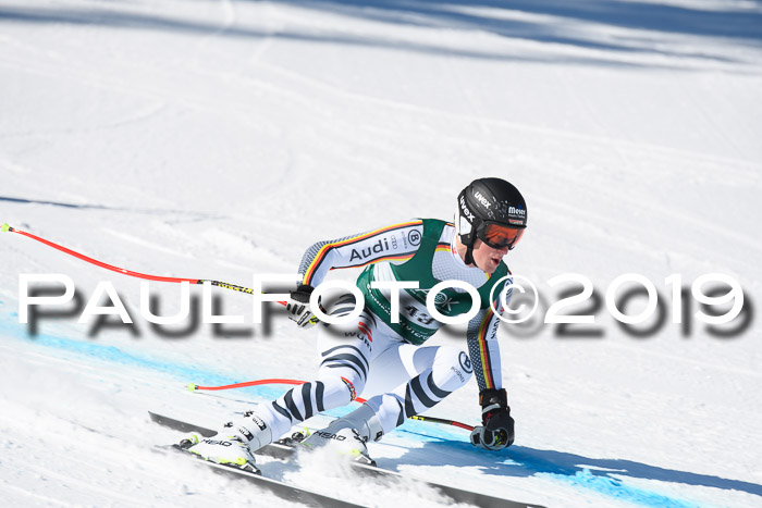 FIS, Int. Dt. Meisterschaft Abfahrt, Damen + Herren, 20.03.2019