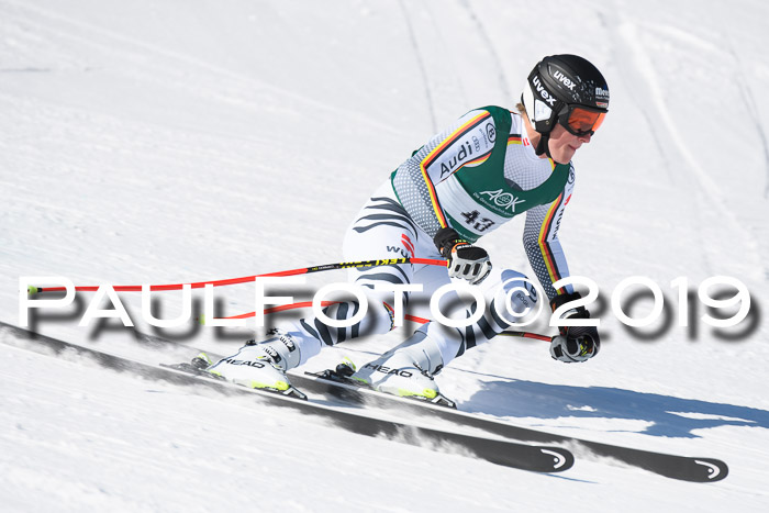 FIS, Int. Dt. Meisterschaft Abfahrt, Damen + Herren, 20.03.2019