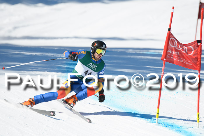 FIS, Int. Dt. Meisterschaft Abfahrt, Damen + Herren, 20.03.2019