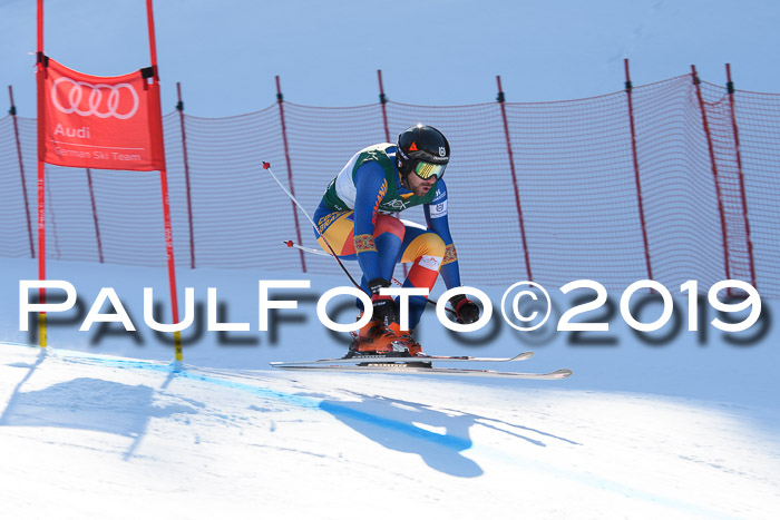 FIS, Int. Dt. Meisterschaft Abfahrt, Damen + Herren, 20.03.2019