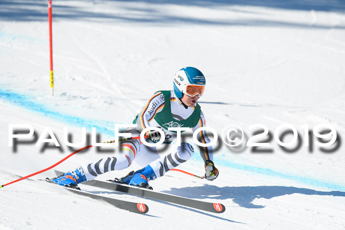 FIS, Int. Dt. Meisterschaft Abfahrt, Damen + Herren, 20.03.2019