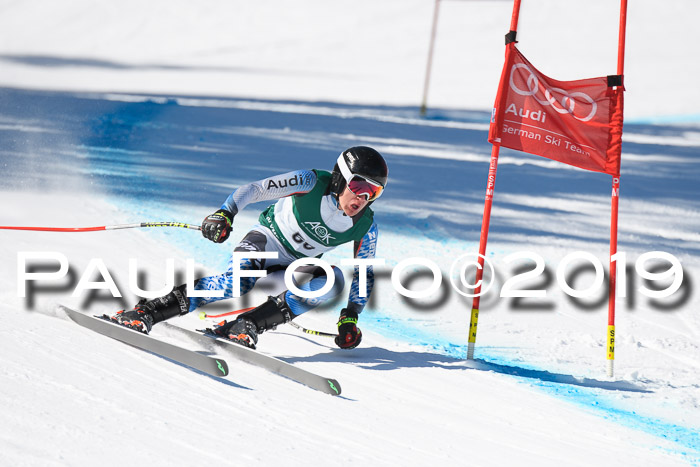 FIS, Int. Dt. Meisterschaft Abfahrt, Damen + Herren, 20.03.2019