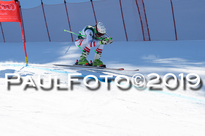 FIS, Int. Dt. Meisterschaft Abfahrt, Damen + Herren, 20.03.2019
