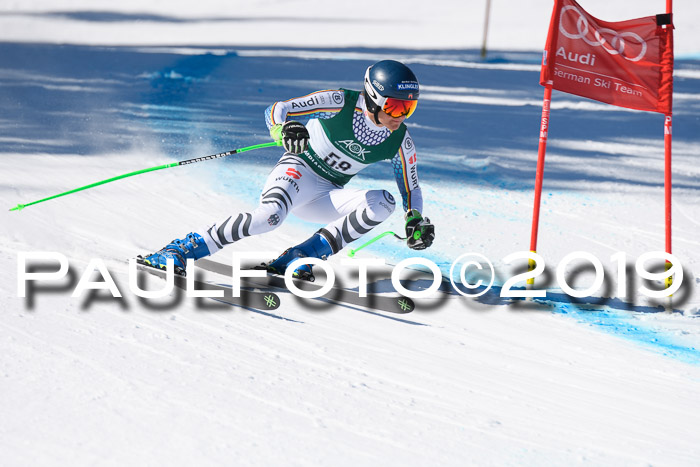 FIS, Int. Dt. Meisterschaft Abfahrt, Damen + Herren, 20.03.2019